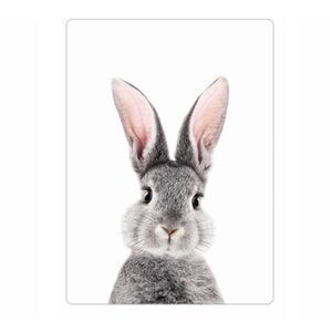 Cute Rabbit Print  Magnet